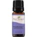 Plant Therapy Meditation Essential Oil Blend 10 mL (1/3 oz) 100% Pure Undiluted Therapeutic Grade