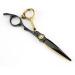 Hair Cutting Scissors 6 Inch Professional JP 440c Steel Scissor Gold Black Hair Scissors Haircut Thinning Barber Cutting Shears Hairdresser Scissors Set - Buy Online on GoSupps.com