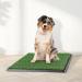 Petmaker Artificial Grass Puppy Pad with Tray - Medium Size 3-Layer System for Dog Training and Housebreaking - Buy Online on GoSupps.com