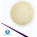 Dynarex Bacitracin Zinc Ointment USP - 15 oz. / 425g Jar - Ideal for Wound Healing, Cuts, Rashes, Burns - Buy Online on GoSupps.com