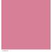 CoverGirl Outlast All Day Two Step Lipcolor Forever Fawn 598 - Long-Lasting Lipstick 0.13 oz (2 Pack) - Buy Online on GoSupps.com
