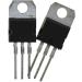 Reland Sun TIP107 TO220 (10 Pieces) - High-Performance Transistors for Global Shipping - Buy Online on GoSupps.com