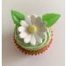 Holly Cupcakes 6 Beautiful Sugar Daisies & 12 Pretty Edible Wafer Leaves - Buy Online on GoSupps.com