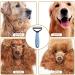 Pet Grooming Brush Deshedding Comb 2 Sided Undercoat Rake for Cats and Dogs Safe Dematting Comb Removes Loose Undercoat Mats Tangles and Knots No More Nasty Shedding and Flying Hair (blue) - Buy Online on GoSupps.com