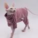 Hairless Cat Clothes Four-Legged Velvet Warm Soft Autumn and Winter Cat Apparel for Sphynx Cat Devon Rex Cat Cornish (X-Large) XL - Buy Online on GoSupps.com