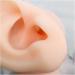 Simulation Silicone Left Ear Model Soft Silicone Artificial Ear Model for Ear Picking Practice Long Ear Canal for Teaching Students Simulation Display Props Teaching Tools Jewelry Display. - Buy Online on GoSupps.com