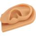 Waterproof Silicone Right Ear Hearing Aid Display Accessories - Buy Online on GoSupps.com