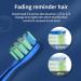 Sonic Electric Toothbrush Set | UV-C Cleaning, Air-Drying | 6 Brush Heads, Travel Case | 41000 VPM, 4 Modes, 3 Intensities | 90 Days Battery Life | Blue - Buy Online on GoSupps.com