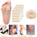 Corn Cushions MQ 60 Pcs Corn Plasters Corn Pads Soft Latex Foam Self Adhesive Callus Pads Corn Pad Anti Friction Reduce Foot and Heel Pain for Toe Callus Anti-Slip 60 Count - Buy Online on GoSupps.com