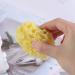 DOITOOL Bath Sponge Foam Loofah Sponge Seaweed Sponge Honeycomb Wash Face Sponge Cotton Shower Supplies Softly Rough but Not Skin Irritating Lathers & Washes Really Well - Buy Online on GoSupps.com