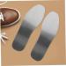 Stainless Steel Anti-Fatigue Shoe Inserts for Women & Men | Arch Support Insoles | Durable Replacement Insoles - 26x8.5CM - Buy Online on GoSupps.com