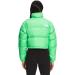The North Face Women's Nuptse Jacket - L Chlorophyll Green | Warm & Stylish Outerwear - Buy Online on GoSupps.com