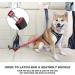 Iokheira Adjustable Dog Seat Belt for Car Safety | Universal Fit & Locking Rod - Red - Buy Online on GoSupps.com