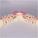 Fhuili Teeth Model for Training | Realistic Oral Tooth Demonstration & Recovery Model for Study | International Shipping - Buy Online on GoSupps.com