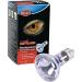 Trixie 76007 Neodymium Heat Spot Lamp 75W 63mm & Ceramic Frame Socket Ideal for Reptile Enclosures | Buy Now - Buy Online on GoSupps.com