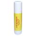 Lip Session Lip Balm Big Sticks Assorted Flavors Vanilla (Original) Strawberry & Banana - 3 Pack - 0.5 Oz. Each - With Vitamin E & Cocoa Butter - Moisturizes & Soothes Dry Cracked or Chapped Lips - Buy Online on GoSupps.com
