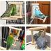 Bird Mirror Swing Toy for Small Parrots - Hanging Play Mirror for Greys, Parakeets, Cockatoos, Cockatiels, Conures, Lovebirds, Canaries, Macaws and African Parrots - Buy Online on GoSupps.com