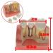 Dental Implant Analysis Demonstration Model - Crown Bridge Teeth Interpretation Model - Buy Online on GoSupps.com