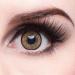 Matlens EOS Brown Circle Contact Lenses - 2 Lenses + Care Kit - 9.5 Dioptria 14mm Diameter - Shop Internationally - Buy Online on GoSupps.com