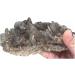 Natural Rough Smoky Quartz Crystal Cluster Specime Beautiful Crystal Cluster (Size : 1pc 760G-850G) - Buy Online on GoSupps.com