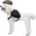 Adjustable Dog Saddle Bag Harness for Medium to Large Dogs | Durable Travel Backpack for Hiking and Camping - Black - Buy Online on GoSupps.com