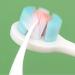 Buy Soft Children's Toothbrush - Sweet Dinosaur Design for Ages 3-12 | DNW308 (Size B #1) - Eco-Friendly & Convenient Packaging - Buy Online on GoSupps.com