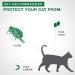 Advantage II Flea Protection for Large Cats weighing over 4 kg (over 9 lbs.) 2 doses - Buy Online on GoSupps.com
