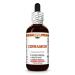 Cinnamon (Cinnamomum Verum) Dry Bark Tincture, Made in Hawaii, All Natural, Vegan, Pure Liquid Extract - 2 fl.oz 2 Fl Oz (Pack of 1)
