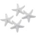 LOVIVER 4 Starfish Aromatic Essential Oil Fragrance Stone - White Room Decor for Refreshing Scents | International Shipping Available - Buy Online on GoSupps.com