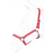 Buy RL24 - Red Nylon Halter BASICLINE for Thoroughbreds | Premium Quality Horse Gear | International Shipping Available - Buy Online on GoSupps.com