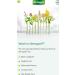 Iberogast 100mL (6 Bottles) - Natural Digestive Relief - Buy Online on GoSupps.com
