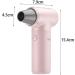 Ioensy Powerful Hair Dryer with Motor Fan Cordless Hair Dryer for Drying Pet Hair Pink - Buy Online on GoSupps.com