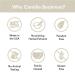 Camille Beckman Glycerine Hand Therapy Cream - Gardenia Breeze 8 oz (Pack of 1) - Buy Online on GoSupps.com