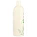 BODHI HANDMADE SOAP White Tea & Ginger Body Lotion 16 FZ - Buy Online on GoSupps.com