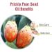 Salvia Prickly Pear Seed (Opuntia) Undiluted Uncut Carrier Oil -100ml Pricky Pear Seed 100 ml (Pack of 1) - Buy Online on GoSupps.com