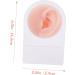 Beaupretty Silicone Ear Model for Piercing and Jewelry Kits - Ear Jewelry Holder and Earring Stud Set for Babies - Earring Support Moulds - Complexion 11.5x7.5cm - Buy Online on GoSupps.com