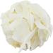 Organic Coconut Chips Raw 1kg (BWFO) - Buy Online on GoSupps.com