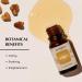 Pure Resin Mirra Essential Oil Diffuser Blend 30ml by Aromafume | Commiphora Myrrha Extract | Native to East Africa | Clears Negativity & stimulates a Spiritual Connection | Charged with Pure Resins - Buy Online on GoSupps.com