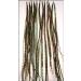Buy Grizzly Extensions EasyIn Forest Feather Extensions | International Shipping Available - Buy Online on GoSupps.com