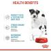 Royal Canin Starter Mousse Mother & Babydog | 12 x 195 g | Ultra Soft Mousse Wet Food | for female dogs in the last third of gestation and during the lactation period - Buy Online on GoSupps.com