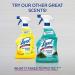 Buy Lysol All Purpose Cleaner Spray - Mandarin & Ginger Lily 32 Fl Oz | Best International Shipping - Buy Online on GoSupps.com