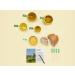 TRY Olive Oil Gift Box - Premium Cold-Pressed Tasting Set (5x50ml) | Perfect for Gifting & Cooking - Buy Online on GoSupps.com