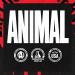 Animal M-Stak 21 Count - Non-Hormonal Muscle Building Stack for Hard Gainers with Energy Complex - Buy Online on GoSupps.com