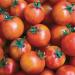 30 Semi isis Candy Cherry of Tomato 2018 (Non GMO Semi -cimel Vegetable!) - Buy Online on GoSupps.com