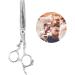 Hairdressing Shears with Antique Decoration Professional Hair Cutting Thining Scissors Salon Barber Hairdressing Shear(Thinning Shears-Silver) - Buy Online on GoSupps.com