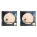 Manhattan Soft Compact Powder bright compact powder with powder quaste for a matt even complexion color natural cells 1 1 x 9g (pack with 2) 1 naturallle 9 g (2 Pack)