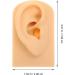 High-Quality Ear Model for Teaching and Suture Practice | Ear Piercing & Display Simulation Props - Buy Online on GoSupps.com