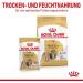 Royal Canin Shih Tzu Adult Mousse Double Pack - 2 x 12 x 85g | Wet Dog Food for Adult Shih Tzus | Supports Fur & Digestion | Senior Dogs 10+ Months - Buy Online on GoSupps.com