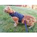 Mynwood Cat Jacket/Harness Black Watch Tartan Adult Cat - Buy Online on GoSupps.com