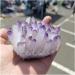 Natural Crystal Rough Crystal Natural Purple Ghost Phantom Quartz Crystal Cluster Rock Stones and Crystals Reiki Specimen Home Deco Crystal (Size : 300-350g) - Buy Online on GoSupps.com